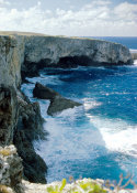 Wilcommen, No. 0106 The Rough Waves Below Banzai Sea Cliffs